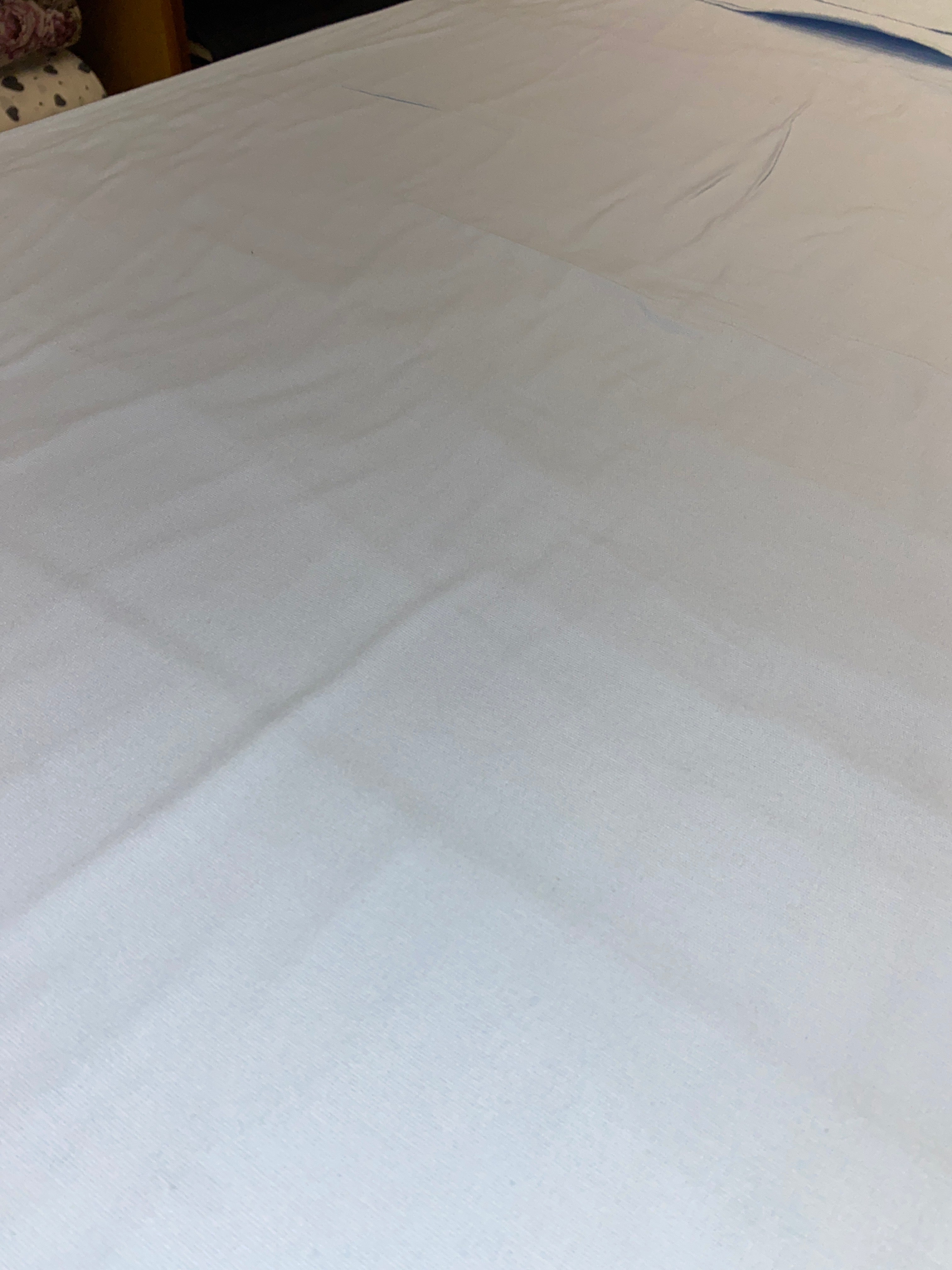 DaisyStar Açık Mavi Pazen